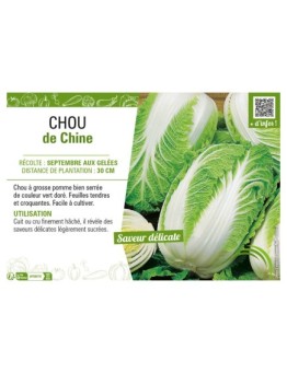 CHOU DE CHINE