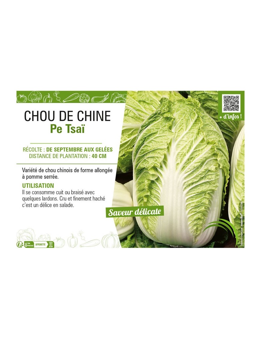 CHOU DE CHINE PE TSAI