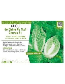 CHOU DE CHINE PE-TSAI CHORUS F1