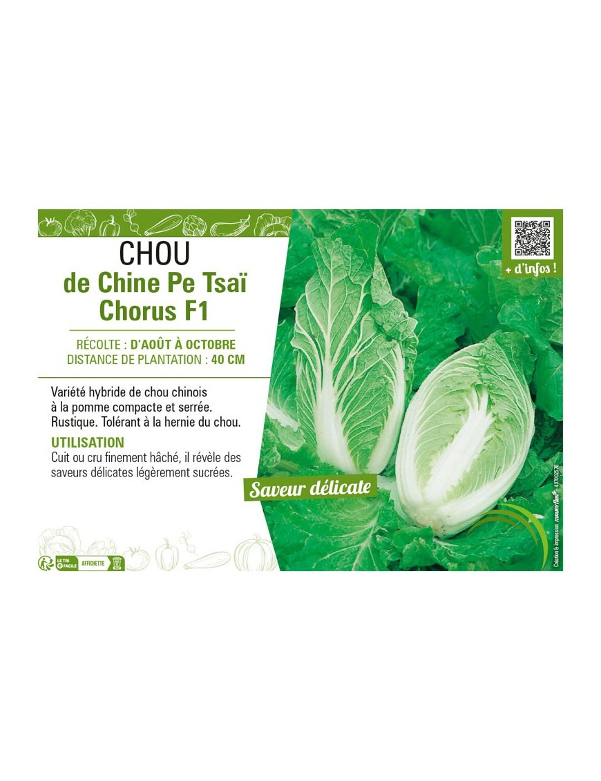 CHOU DE CHINE PE-TSAI CHORUS F1