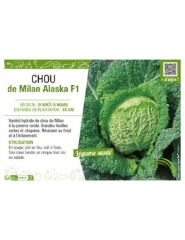 CHOU DE MILAN ALASKA F1