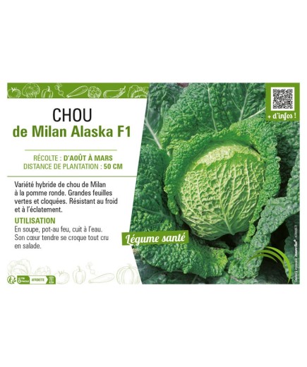 CHOU DE MILAN ALASKA F1