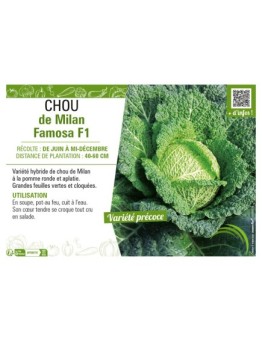 CHOU DE MILAN FAMOSA F1