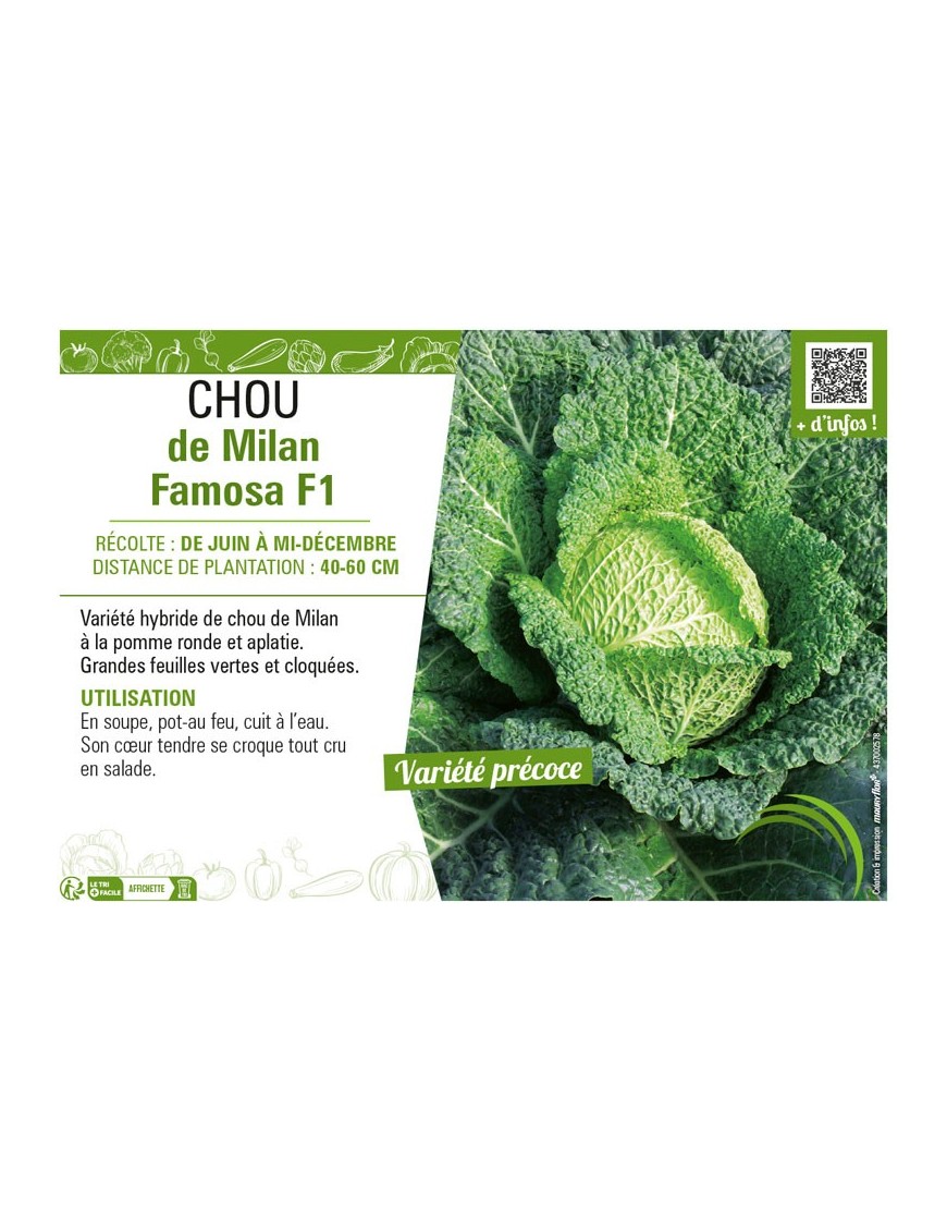 CHOU DE MILAN FAMOSA F1