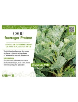 CHOU FOURRAGER PROTEOR