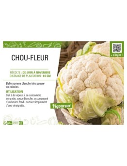 CHOU-FLEUR