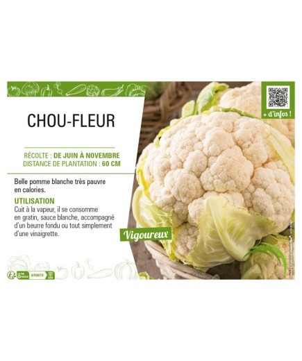 CHOU-FLEUR