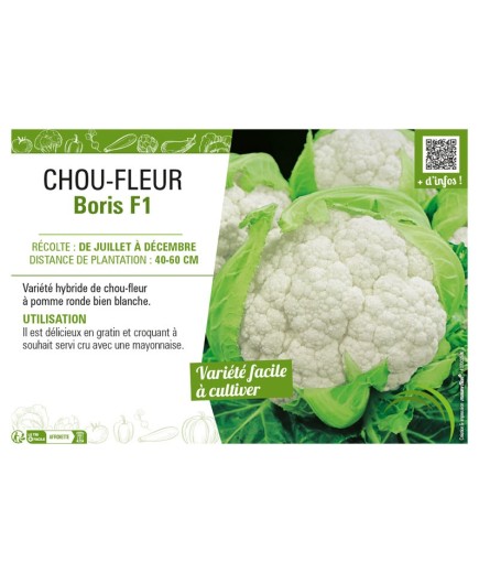 CHOU-FLEUR BORIS F1