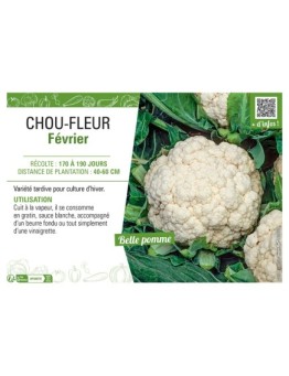 CHOU-FLEUR FEVRIER
