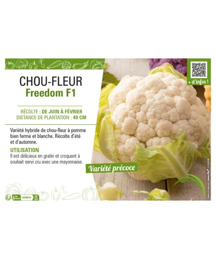 CHOU-FLEUR FREEDOM F1
