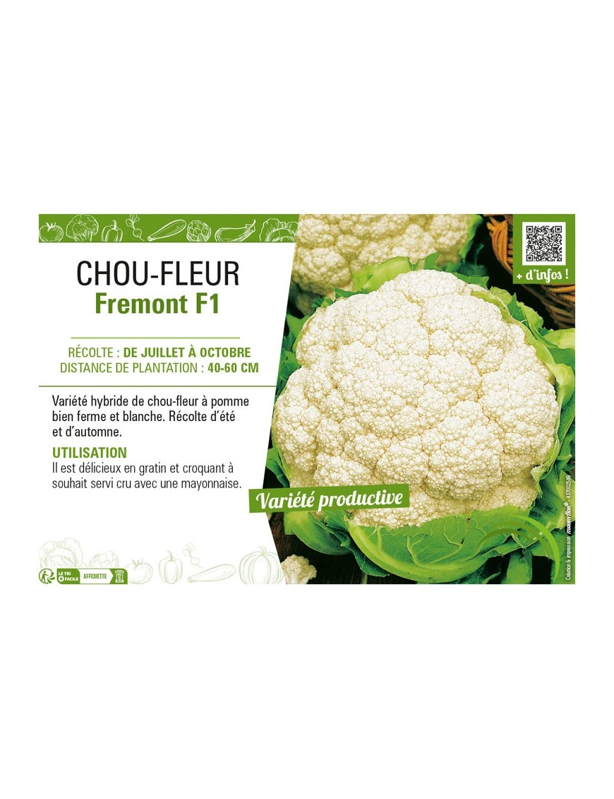 CHOU-FLEUR FREMONT F1