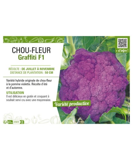 CHOU-FLEUR GRAFFITI F1