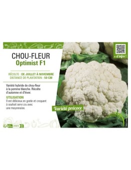 CHOU-FLEUR OPTIMIST F1