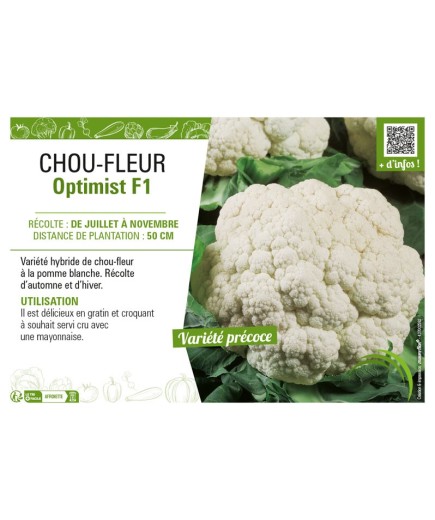 CHOU-FLEUR OPTIMIST F1