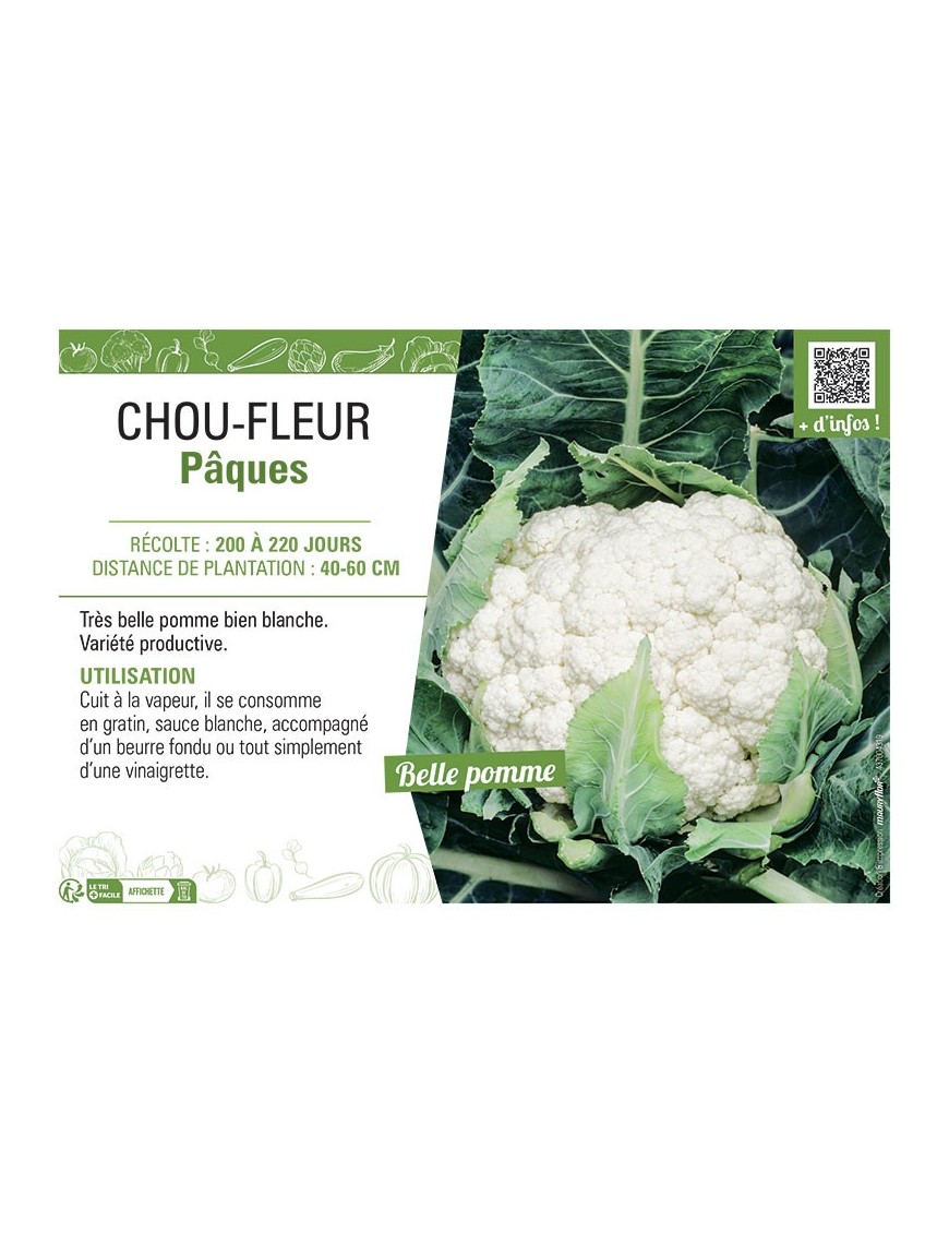 CHOU-FLEUR Pâques