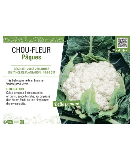 CHOU-FLEUR Pâques