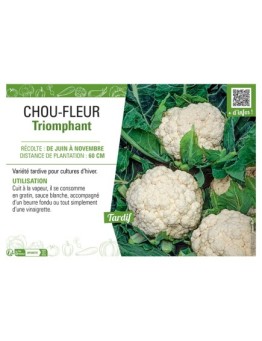 CHOU-FLEUR TRIOMPHANT