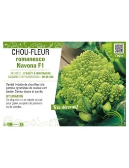 CHOU-FLEUR ROMANESCO NAVONA F1
