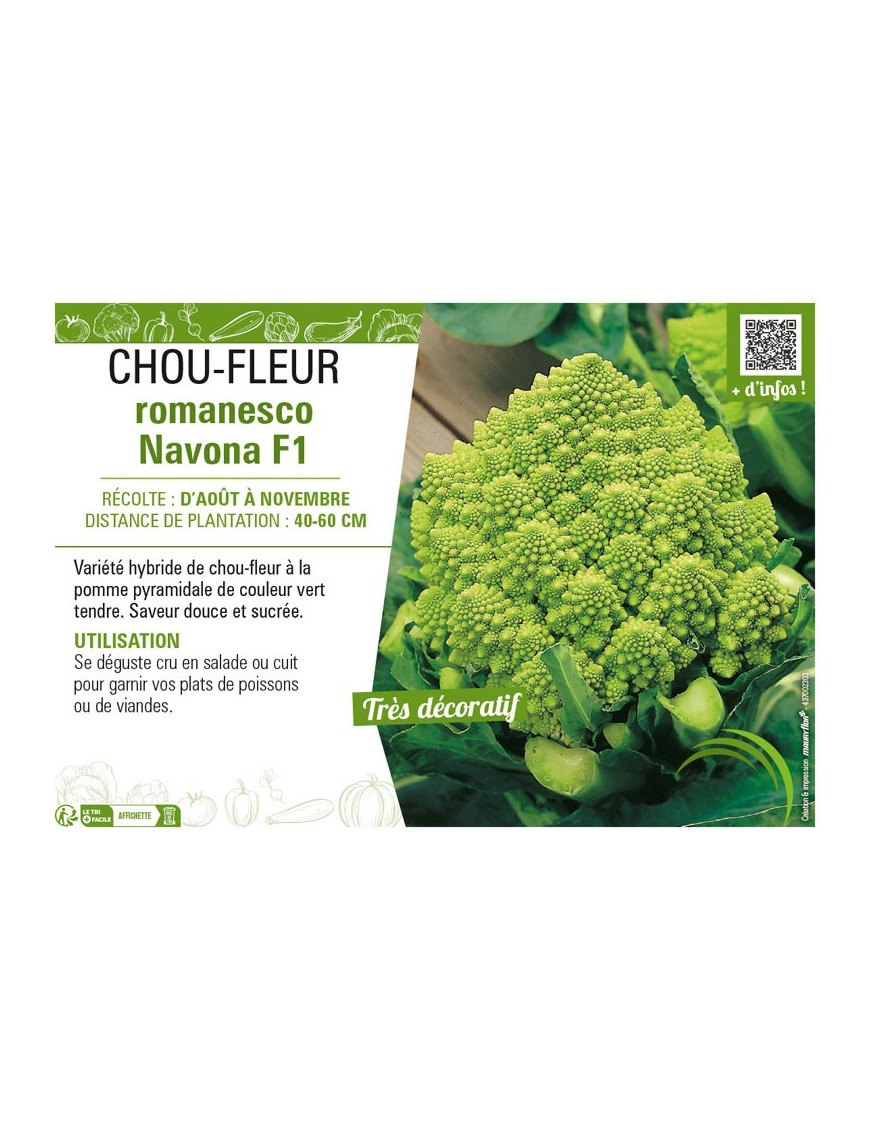 CHOU-FLEUR ROMANESCO NAVONA F1