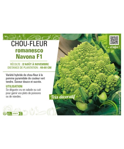 CHOU-FLEUR ROMANESCO NAVONA F1