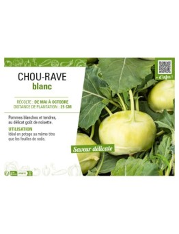 CHOU-RAVE BLANC