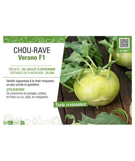 CHOU-RAVE VERANO F1