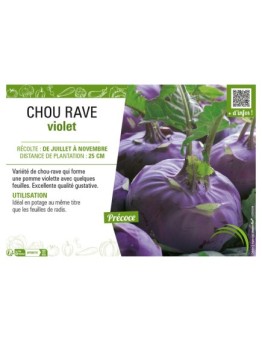 CHOU-RAVE VIOLET