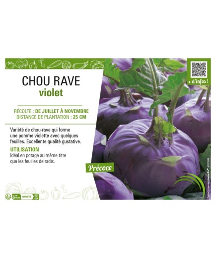 CHOU-RAVE VIOLET