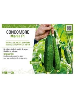 COMCOMBRE MERLIN F1