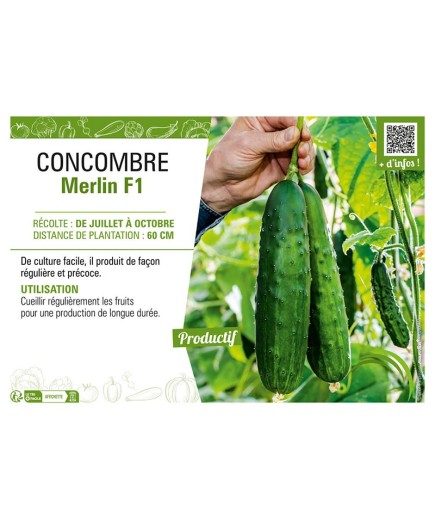 COMCOMBRE MERLIN F1