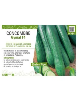 CONCOMBRE GYNIAL F1