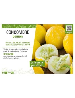 CONCOMBRE LEMON