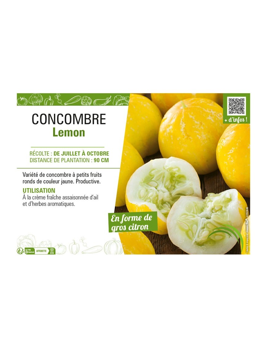 CONCOMBRE LEMON