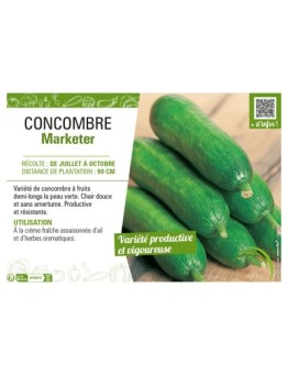 CONCOMBRE MARKETER