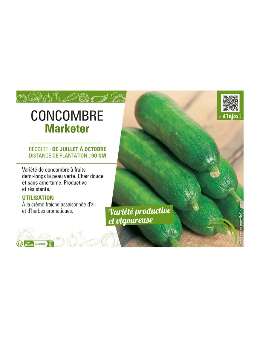 CONCOMBRE MARKETER