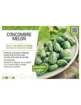 CONCOMBRE MELON