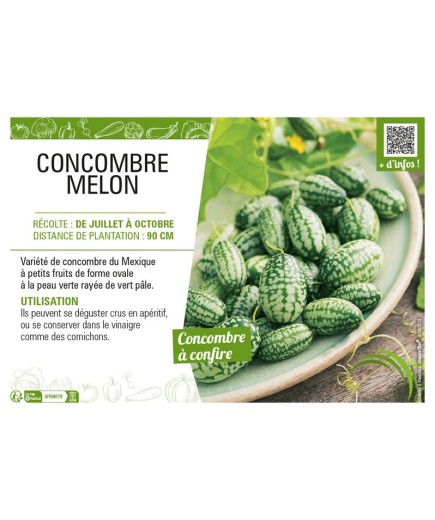 CONCOMBRE MELON