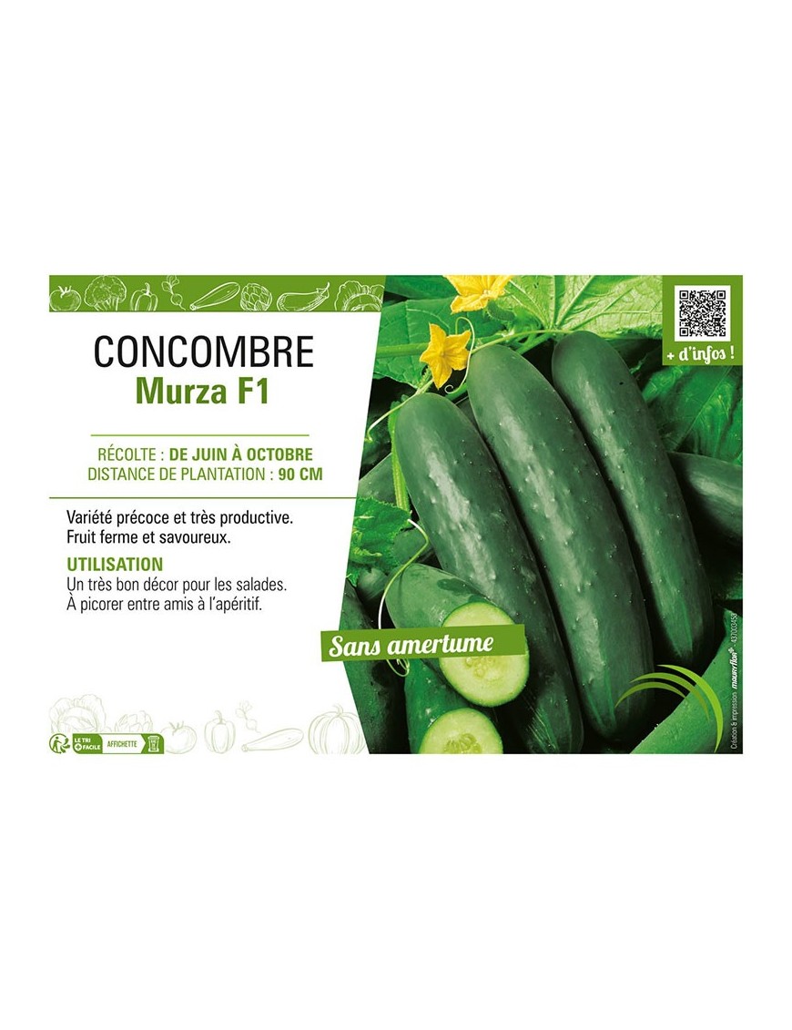 CONCOMBRE MURZA F1