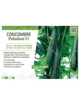 CONCOMBRE PALLADIUM F1