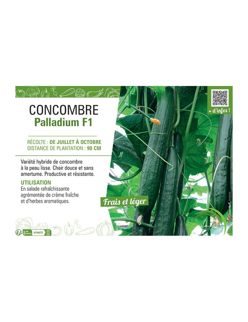 CONCOMBRE PALLADIUM F1