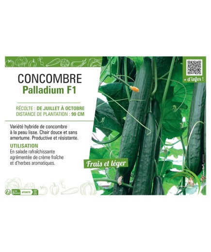 CONCOMBRE PALLADIUM F1
