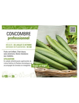 CONCOMBRE PROFESSIONNEL