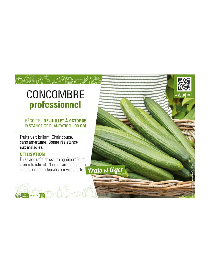 CONCOMBRE PROFESSIONNEL