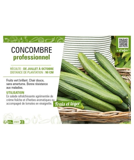 CONCOMBRE PROFESSIONNEL