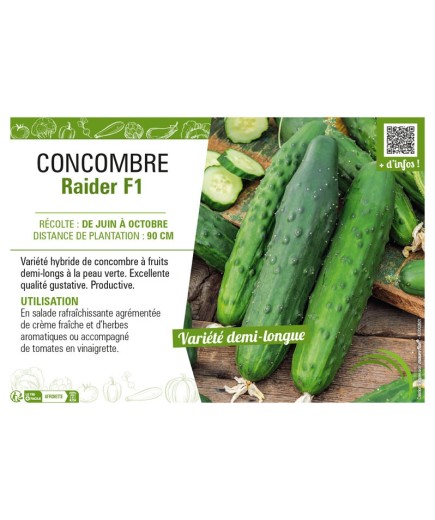 CONCOMBRE RAIDER F1