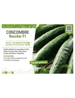 CONCOMBRE ROCCKER F1