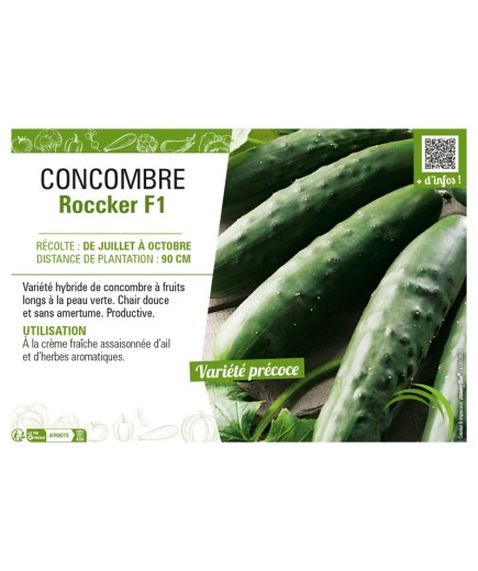 CONCOMBRE ROCCKER F1