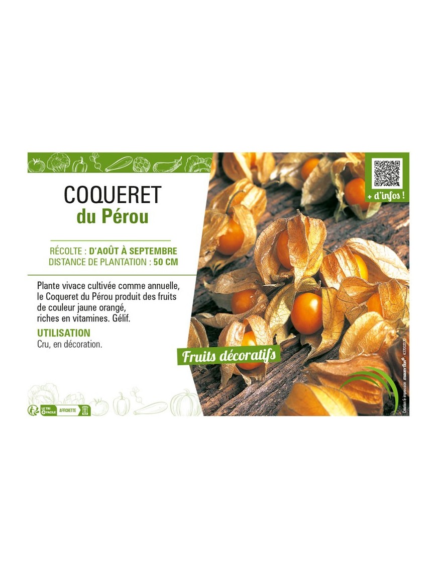 COQUERET DU PÉROU