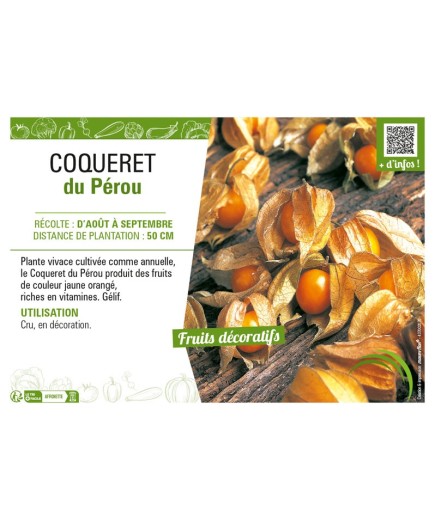 COQUERET DU PÉROU