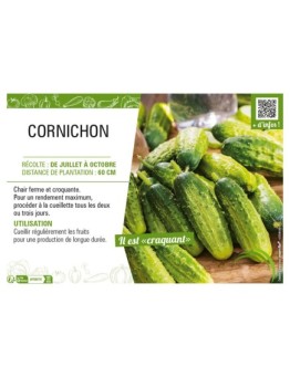 CORNICHON